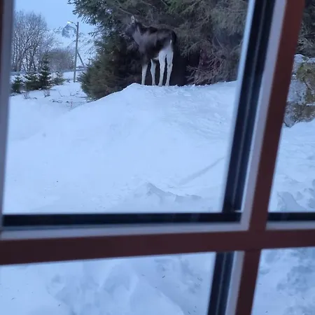 Sydalen House Σπίτι διακοπών Kleppstad