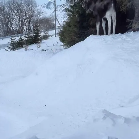 Sydalen House Σπίτι διακοπών Kleppstad