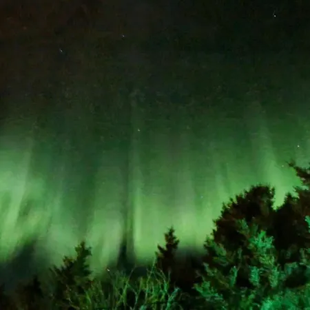 Sydalen House * Kleppstad