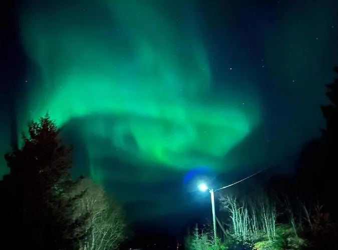 Sydalen House Tatil Evi Kleppstad