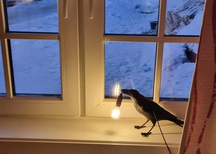 Tatil Evi Sydalen House Kleppstad