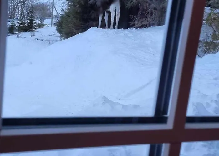 Sydalen House Tatil Evi