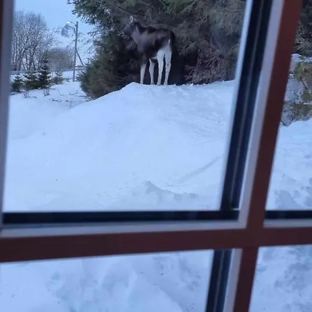 Sydalen House Nyaraló